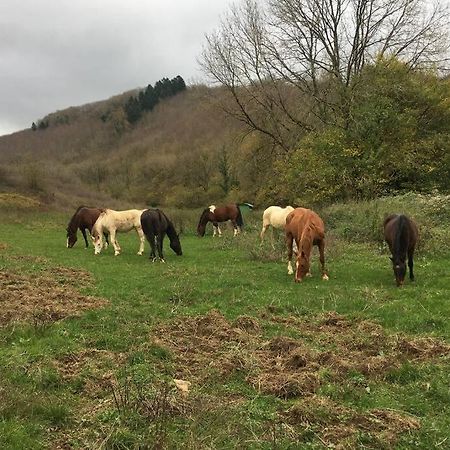 Le Hameau De Sylvanes Exteriör bild